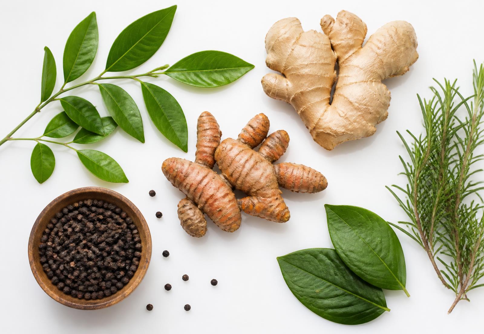 Fresh botanical elements including roots, leaves, herbs and peppercorns